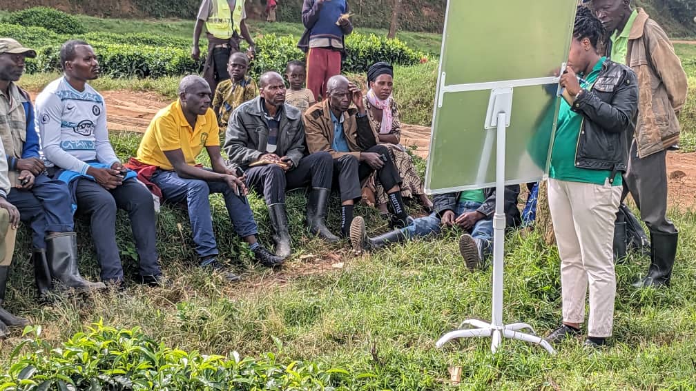 The role of social cohesion on  the development of community